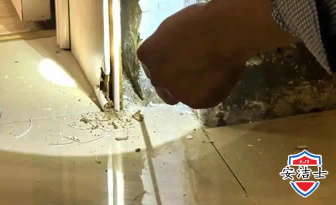 瓯海区房屋建筑防治白蚁