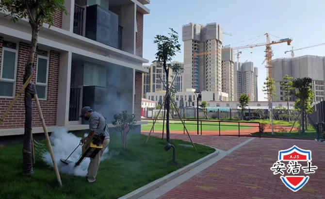 瓯海区工厂工地除白蚁