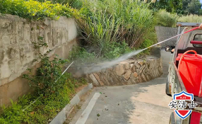 瓯海区道路堤坝白蚁防治