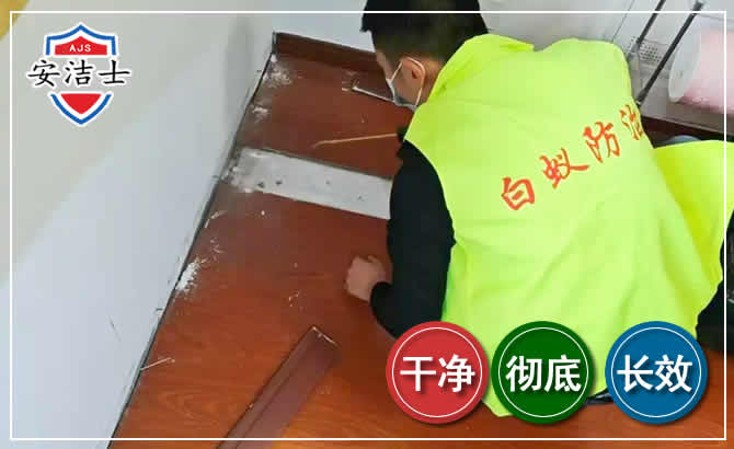 瓯海区除四害现场