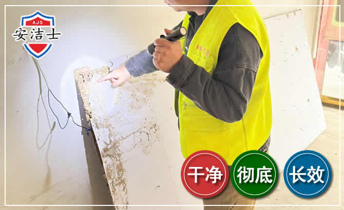 瓯海区除白蚁现场